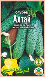 огурец АЛТАЙ ранний / АГРО САД / НОВИНКА !!!